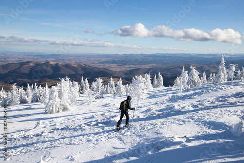 trekking in winter wonderland with snowy fir trees in the mountains photo