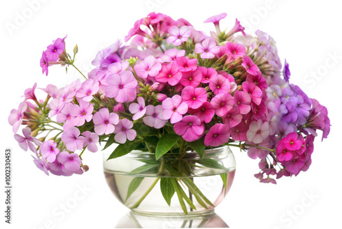 Wallpaper Mural Vibrant Bouquet of Phlox in a Vase Torontodigital.ca