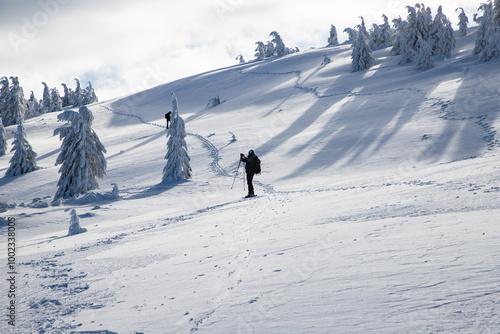 trekking in winter wonderland with snowy fir trees in the mountains photo