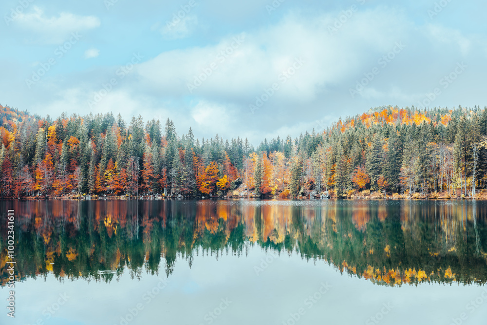 Mirror reflection of autumn forest on a lake