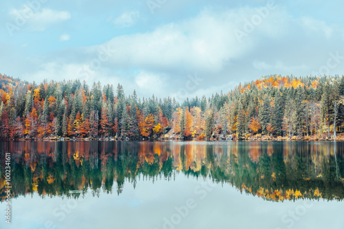 Obraz na płótnie Mirror reflection of autumn forest on a lake w salonie