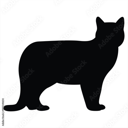 Cat silhouettes. Cat vector illustrations. Cat silhouette icons isolated. Black White.