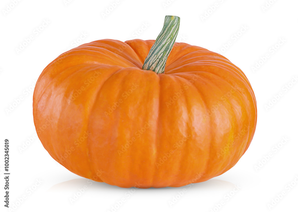 Fototapeta premium ripe pumpkin isolated on a white background with shadow and reflection