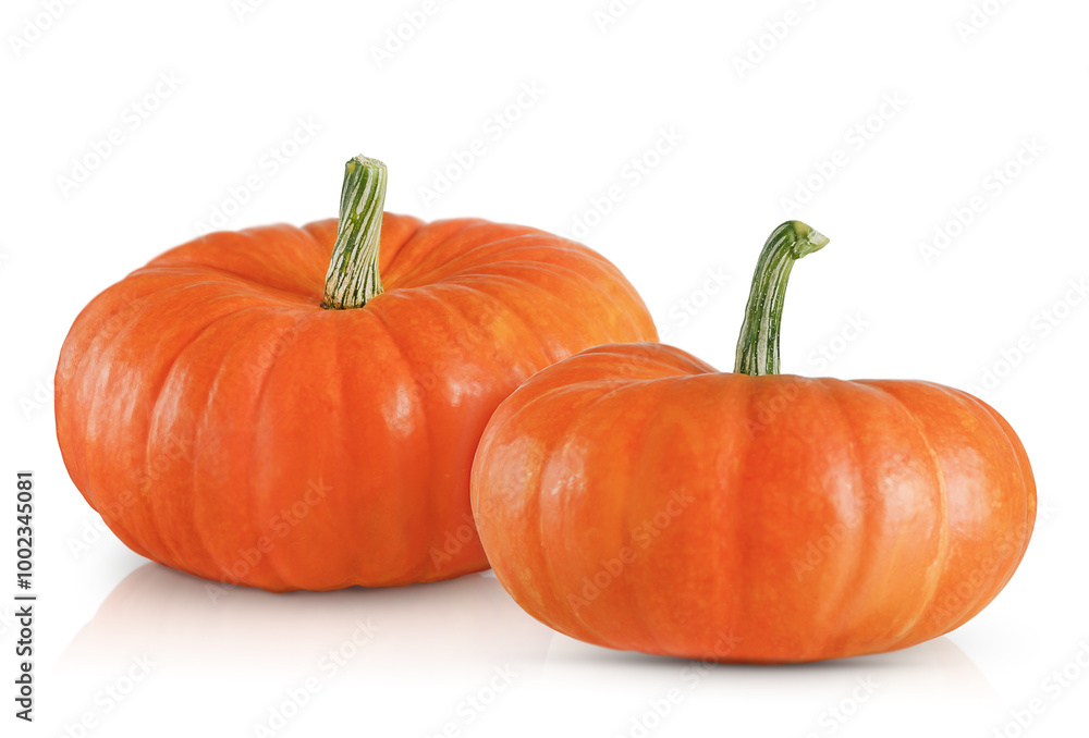 Obraz premium two orange pumpkins isolated on a white background