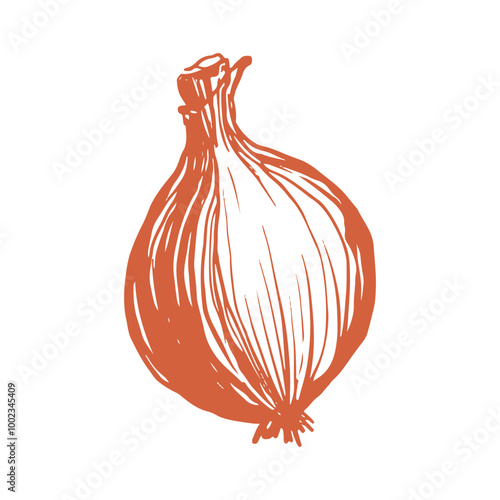 Onion sketch drawing in brown, line vector illustration, isolated on a white background