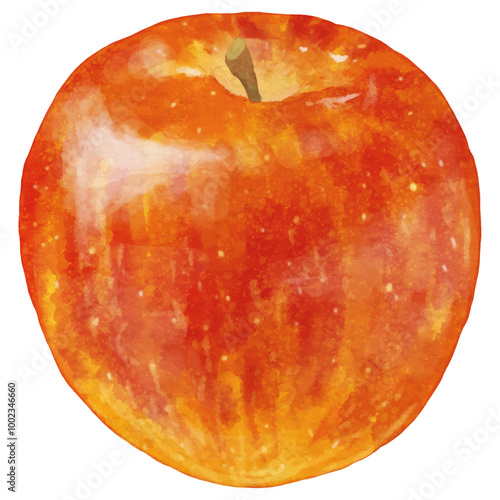 リアルな赤いりんご1個