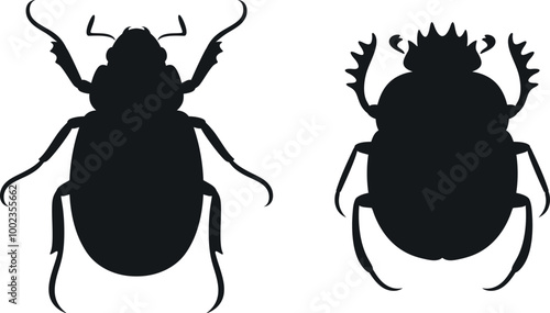 Scarab beetle silhouette. Isolated scarab beetle on white background