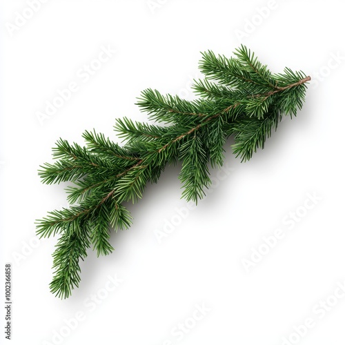 Wallpaper Mural Isolated Pine Twigs for Christmas Decoration Torontodigital.ca