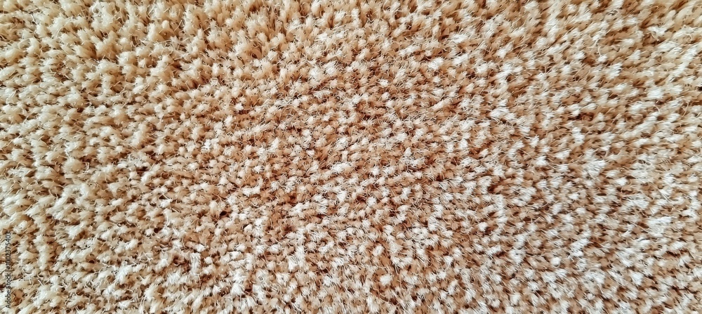 A Close-Up View of Textured Beige Carpet Showcasing Intricate Fibers and Soft Materials in Natural Light A Close-Up View of Textured Beige Carpet Showcasing Intricate Fibers and Soft Materials in Natural Light