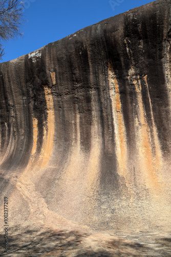 Spectacular multi colored Wave Rock, part of Hyden Rock. Famous tourist hot spot, Wheatbelt region, Western Australia. Cloudless sky.