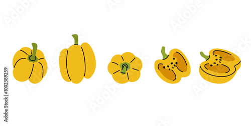 Detailed vector illustration of a yellow bell pepper showing whole, halved views from multiple angles