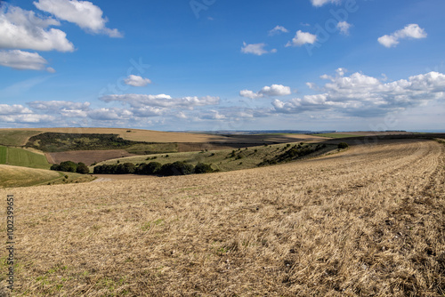 Looking out over agricultural fields in the South Downs, with a blue sky overhead photo