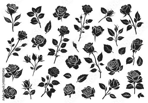 Rose black silhouette set. Flower top and side view. Spring bud leaves thorny stems. Monochrome botanical garden plant. Emblem logo element. Black and white simple flat style. Isolated vector on white
