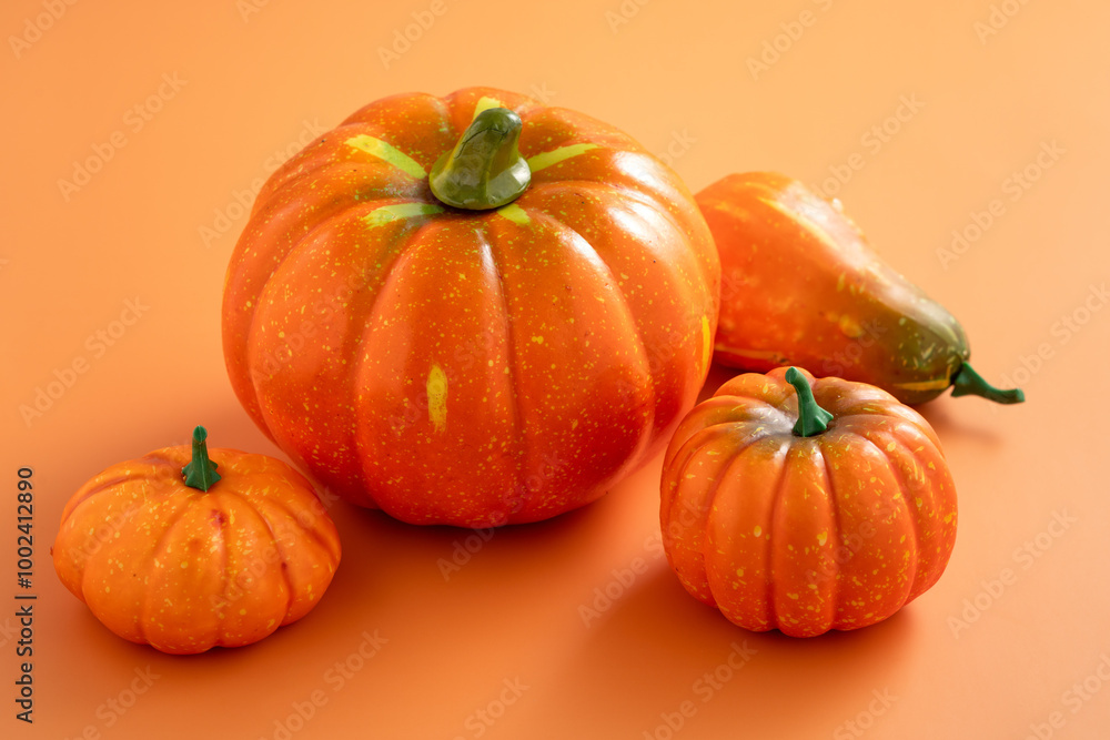 Obraz premium Harvest and autumn Halloween, thanksgiving design concept with pumpkin.