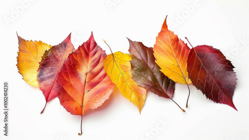 Bright autumn leaves in red, orange, and yellow are set against a white background, emphasizing the season's beauty and texture. AI generative