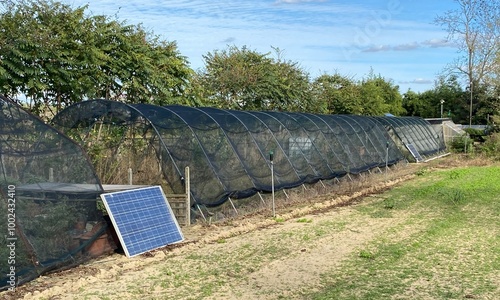 solar panels in the field