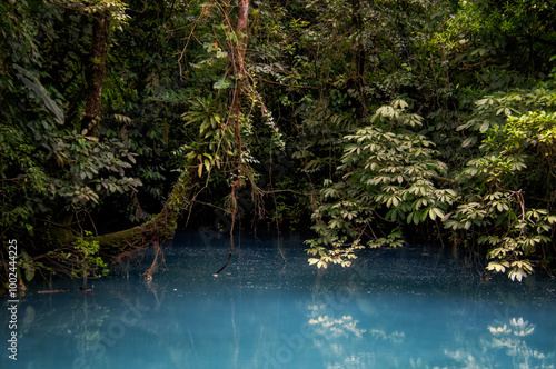 Río Celeste, Parque Nacional Volcán Tenorio, Costa Rica