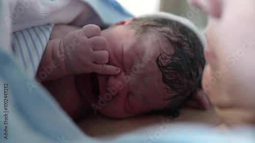 First minutes of a newborn baby coming to the world, first cries and moments of infant child arrival resting on mother's chest emphasizing maternal care