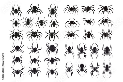 Creepy Spider Silhouettes and Web Designs