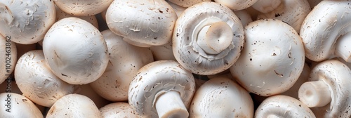 Fresh white mushrooms arranged closely on a wooden surface in a kitchen setting during daylight hours photo