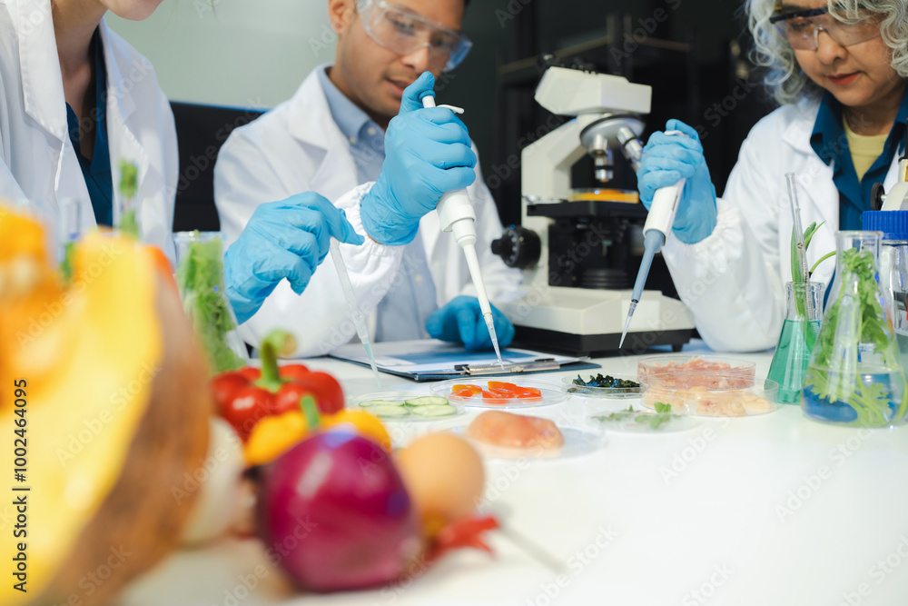 Team Microbiologists Analyzing Molecular Samples in Advanced Food Science Laboratory, Dietitian food and medicine. Team Microbiologists Analyzing Molecular Samples in Advanced Food Science Laboratory, Dietitian food and medicine.