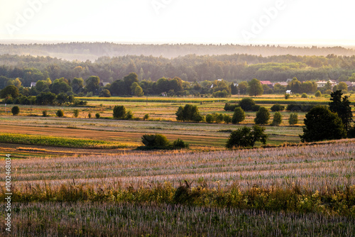 Obraz na płótnie Beautiful landscape of fields and forests at golden hour. Single trees growing in the fields. The setting sun illuminating the meadows and fields. Forest in the distance. Susiec, Roztocze, Poland w salonie