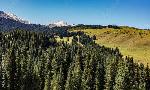 landscape in the mountains