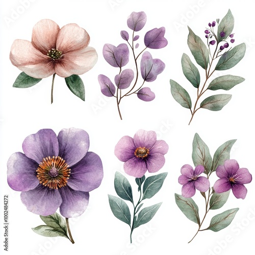Wallpaper Mural Watercolor Floral Set. Torontodigital.ca