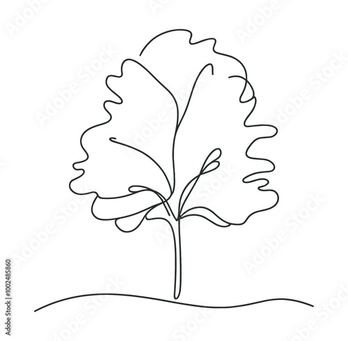 Minimalist single line drawing of tree  modern botanical art illustration