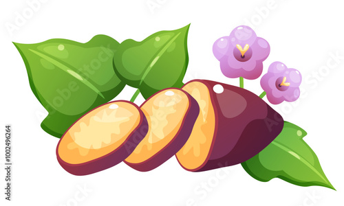 Vector illustration of sweet potato and yam. Set of vegetables in different forms. Yellow vegetable with purple skin in whole form, cut in half, and in circles, foliage and flower of sweet potato.