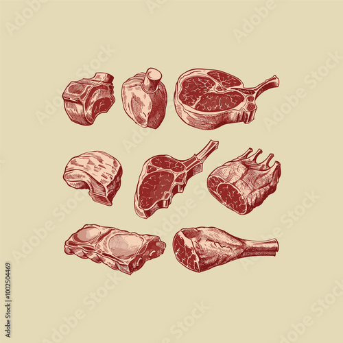 Set of meat engraving style design vector illustration