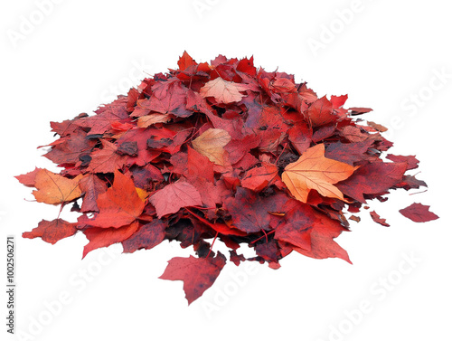 Crimson Carpet of Autumn