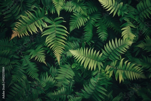 Lush Green Fern Leaves with Vibrant Foliage: Botanical Photography for Nature-Inspired Design