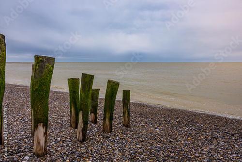 Réserve Naturelle Nationale de la Baie de Somme vue depuis Le Hourdel	 photo