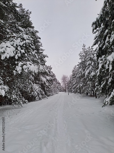 snow covered road