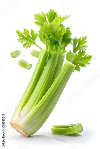 Falling celery slice isolated on white background, clipping path, full depth of field