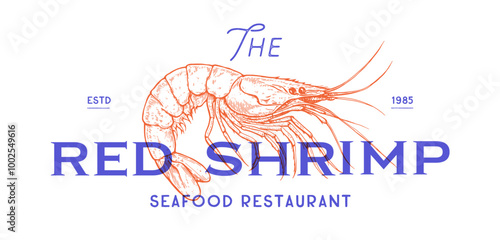 Shrimp, seafood, sketch. Vintage retro print, seafood shrimp prawn sketch, sea life, ink pencil style drawing, engrave old school sketch, hand drawn. Sketch artwork shrimp. Vector Illustration