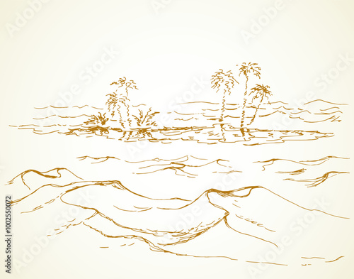 Mirage in the desert. Vector drawing