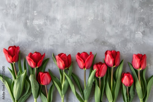 Red Tulips on Gray Background: Vibrant Spring Floral Arrangement for Modern and Elegant Decor