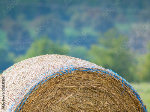 Konstfotografi Round Hay Bale Round on Farm Field Hay Bale Field