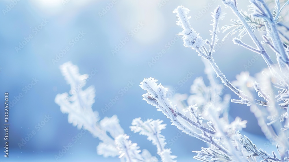 Blue_fresh_simple_scenery_Frost_and_Frost_Descent Blue_fresh_simple_scenery_Frost_and_Frost_Descent