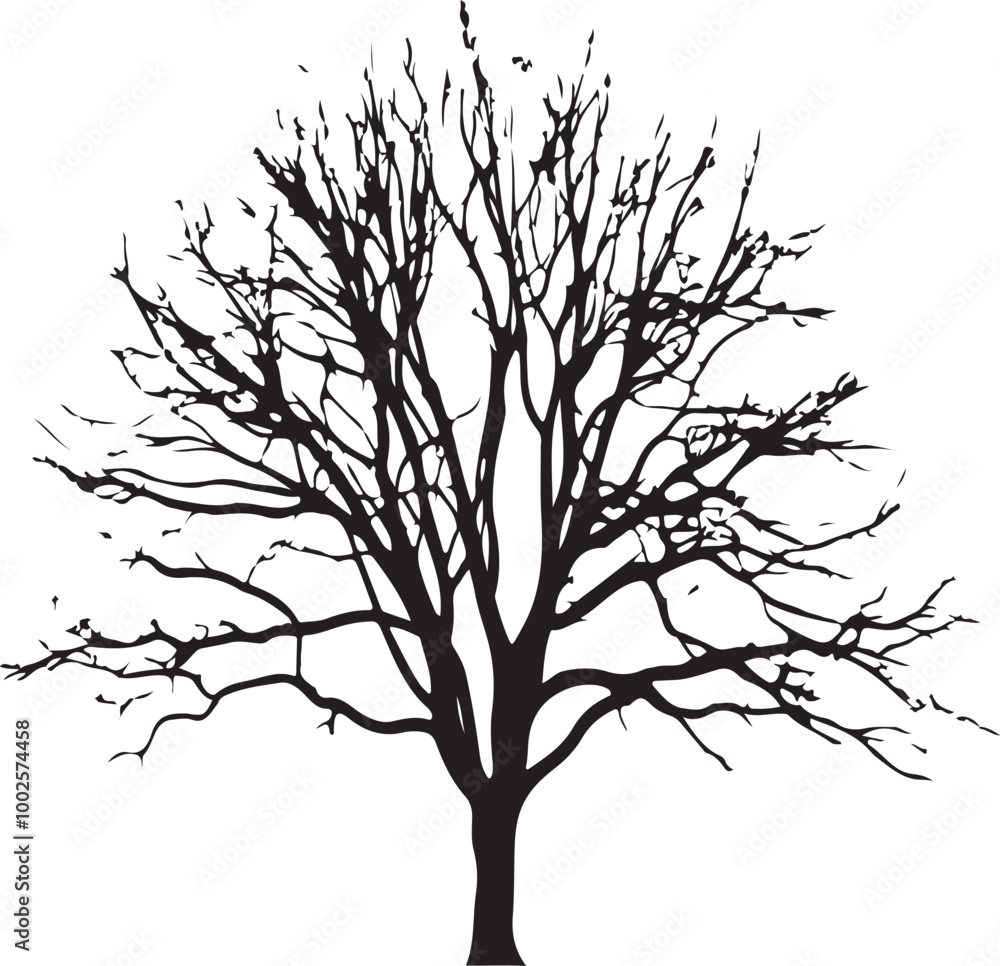 tree without leaves transparent background, Black silhouette of a tree tree without leaves transparent background, Black silhouette of a tree