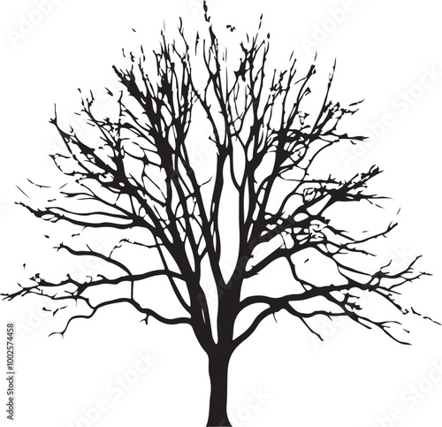 Wallpaper Mural tree without leaves  transparent background, Black silhouette of a tree Torontodigital.ca