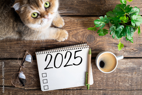 New year resolutions 2025 on desk. 2025 resolutions list with notebook, coffee cup, cute cat on table. Goals, resolutions, plan, cozy, hygge concept. New Year 2025 background photo