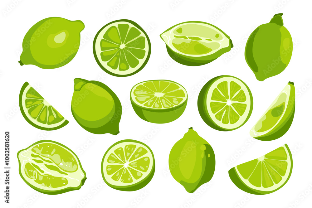 Fresh green limes. Natural organic citrus fruits, sour tropical fruits lemonade juice detox mojito cocktail ingredients. Vector isolated flat set Fresh green limes. Natural organic citrus fruits, sour tropical fruits lemonade juice detox mojito cocktail ingredients. Vector isolated flat set