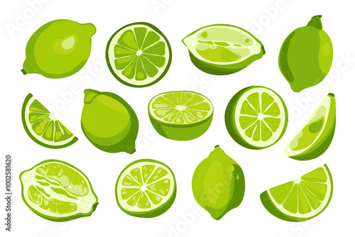 Fresh green limes. Natural organic citrus fruits, sour tropical fruits lemonade juice detox mojito cocktail ingredients. Vector isolated flat set