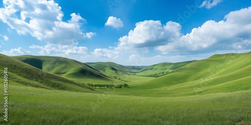 A large, open field with a blue sky and clouds. The sky is clear and the clouds are scattered, giving the impression of a peaceful, serene landscape