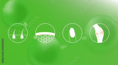 Hyaluronic acid skin hair nails bone and joint solutions ad, green collagen serum drop with cosmetic advertising background ready to use, illustration vector.	