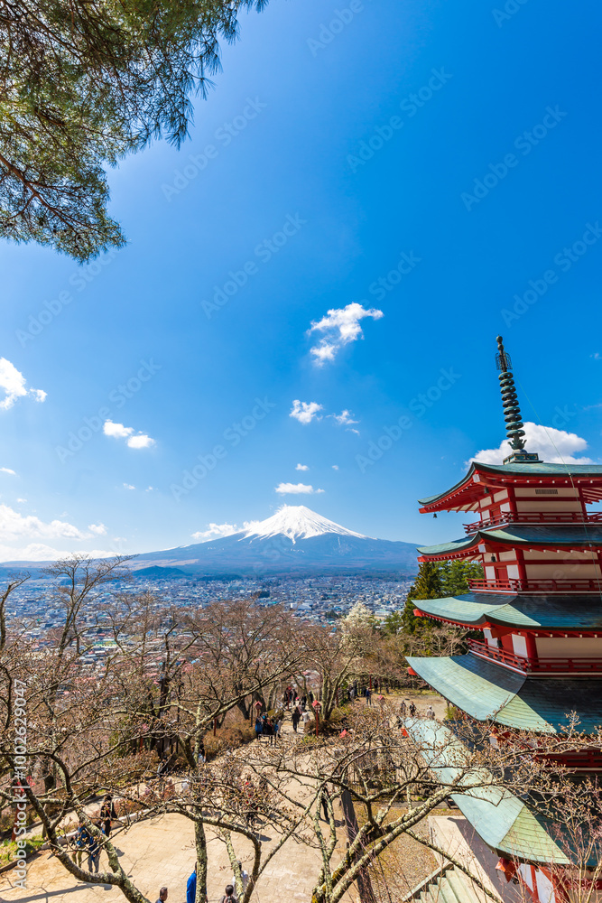 Fototapeta premium Red pagoda Shimoyoshida shrine with snow on Fuji mountain