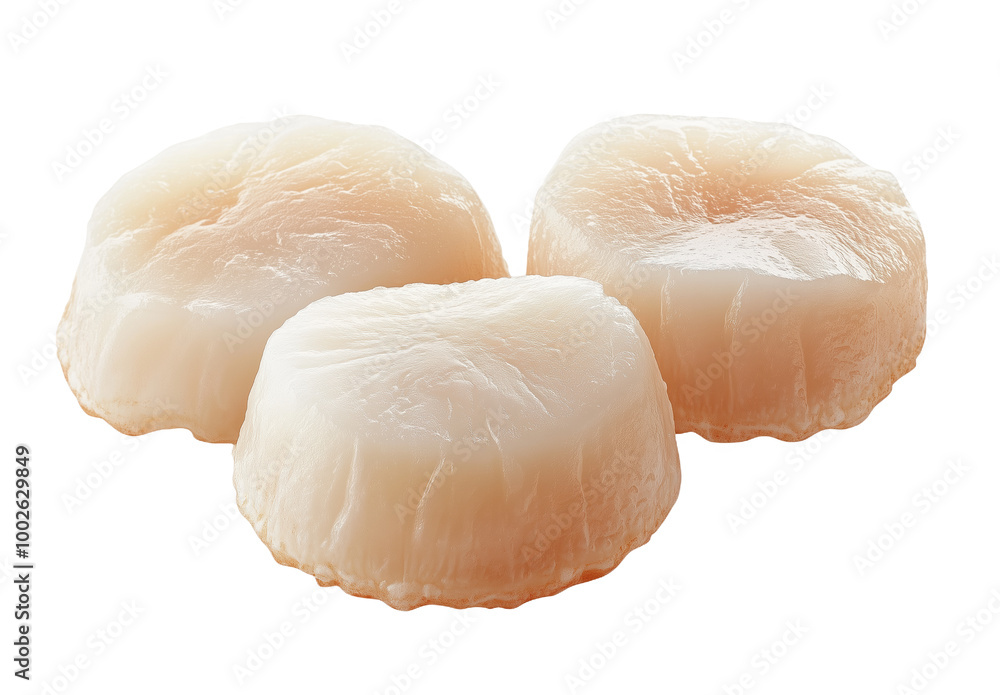 Three raw frozen soft scallops ready for culinary exploration and gourmet dishes Three raw frozen soft scallops ready for culinary exploration and gourmet dishes